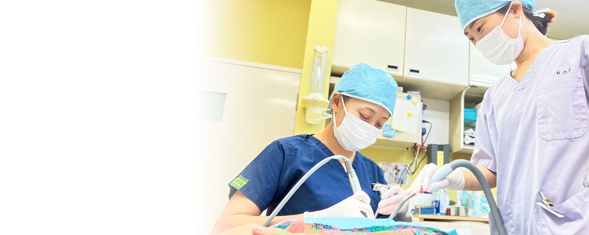 本八幡（市川市）の歯医者、並木デンタルクリニック