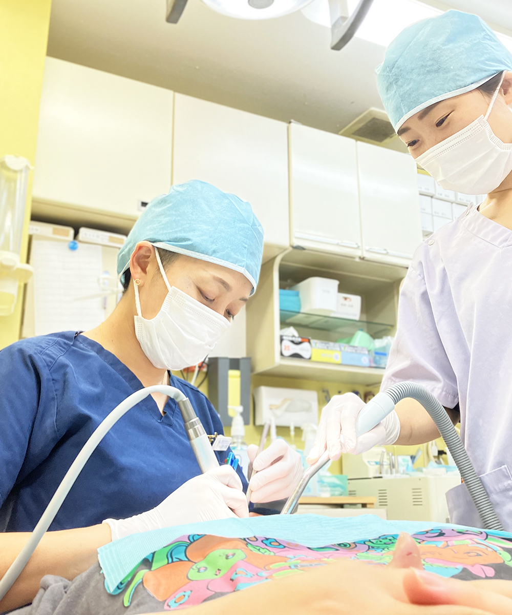 本八幡（市川市）の歯医者、並木デンタルクリニック