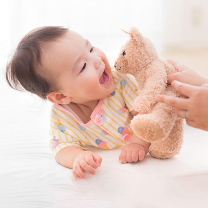 本八幡（市川市）の歯医者、並木デンタルクリニックの赤ちゃん歯科